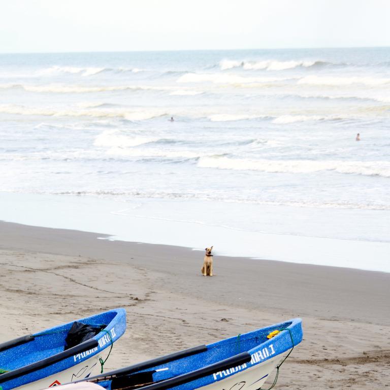 Azul Surf Club 호텔 엘 쿠코 외부 사진